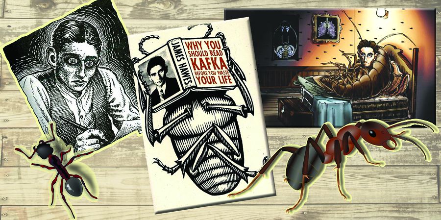 Bóten nemese adamdar qalaı qubylady?