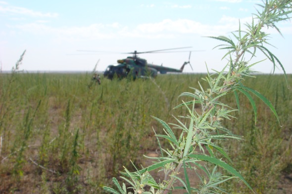 Qyzylordada byltyr 349 keli esirtki tárkilendi