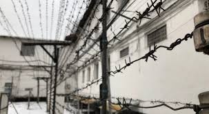 Túrmede til úırenedi