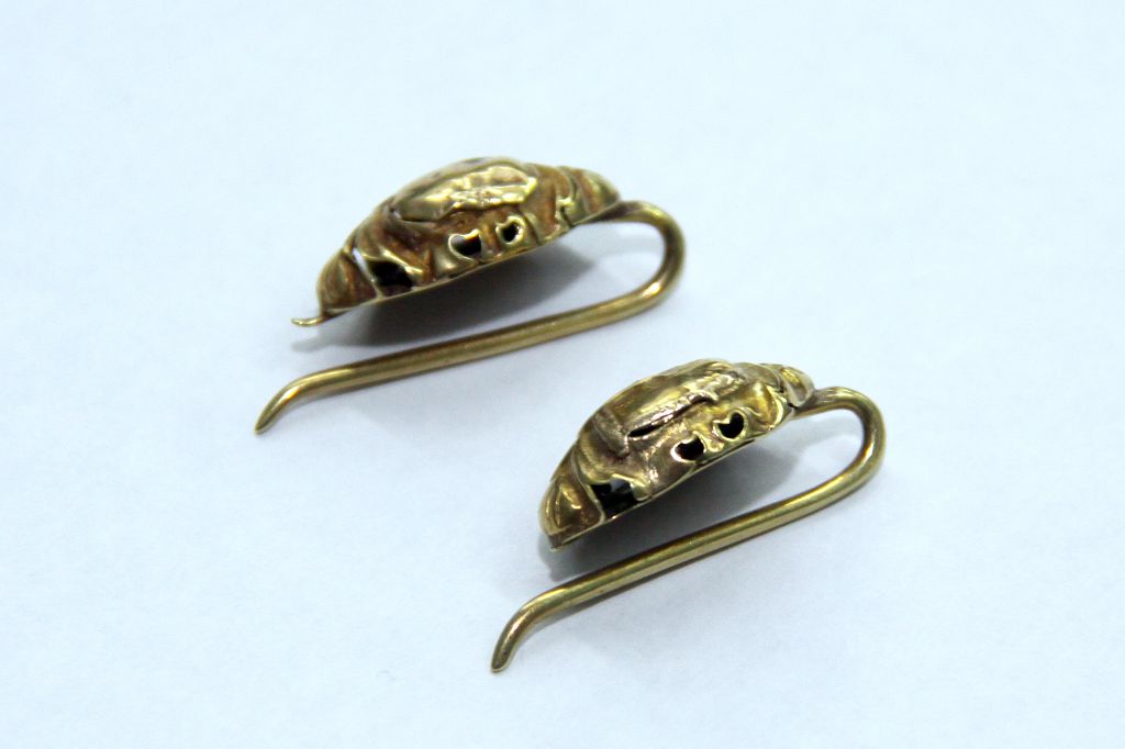 Qulaǵynda qı qońyz