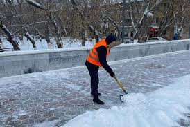 Sottalǵandar kóshe tazalaıdy