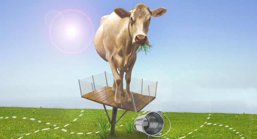 О́risi tarylǵan jaıylym – aýyl sharýashylyǵyna qolbaılaý