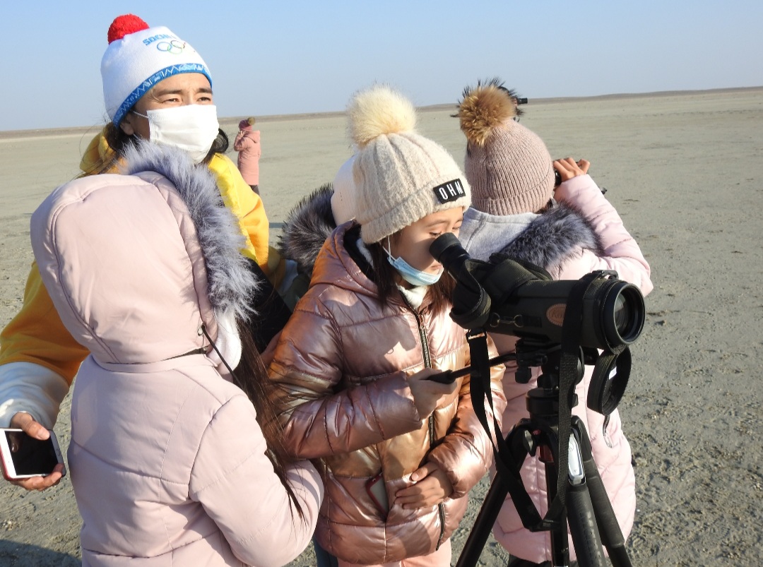 Qus sanaǵy: Qoqıqazdar qaıda ketti?