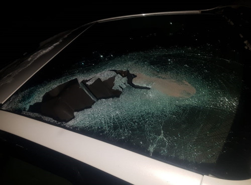 Mal baǵý erejesin saqtamaýdyń saldary