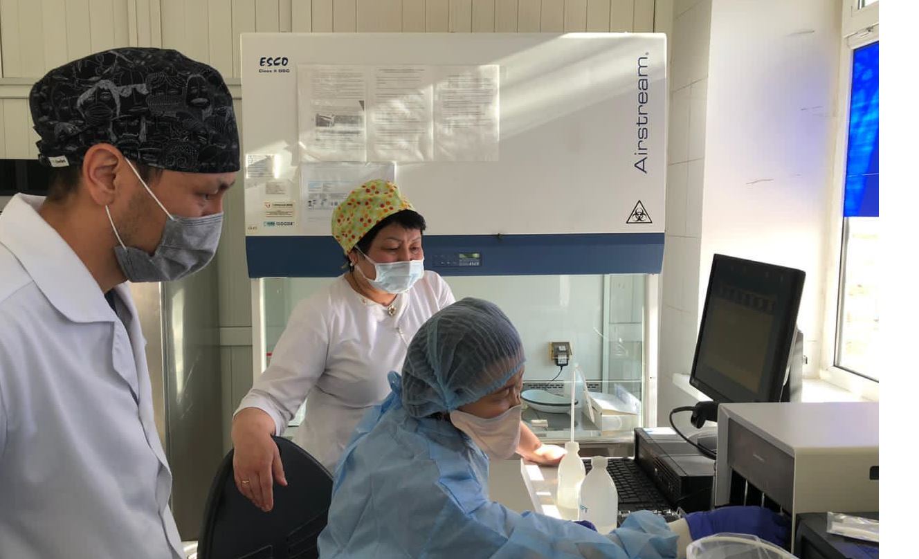 Koronavırýsqa shaldyqqan tórt naýqas tirkeldi