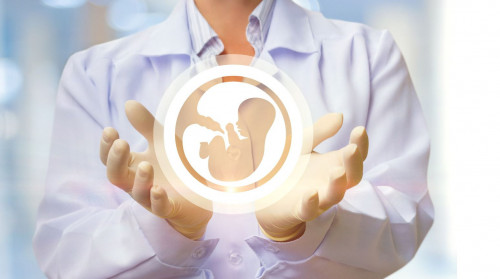 «Ańsaǵan sábı»: Jasandy uryqtandyrý 7 esege kóbeıdi