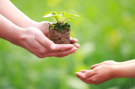 Onkúndik aıasynda  on otbasyna kómek kórsetti