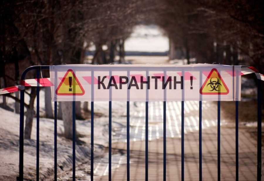 Shyńǵyrlaý men Jánibekte karantın kúsheıedi