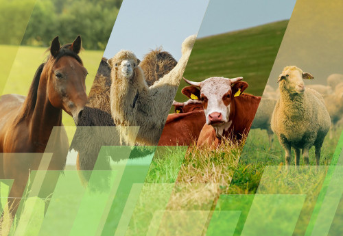 Jaıylym máseleleri alańdatady