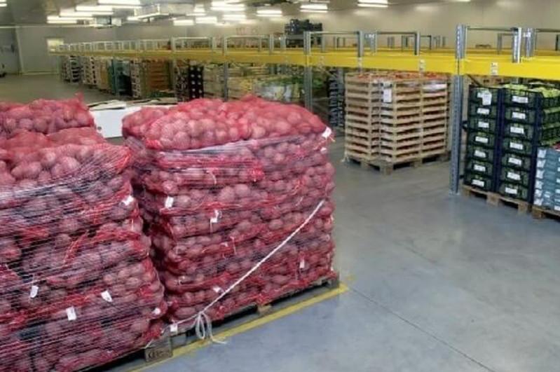 Jambyl oblysynda bir aýylda 100-ge jýyq kókónis qoımasy bar