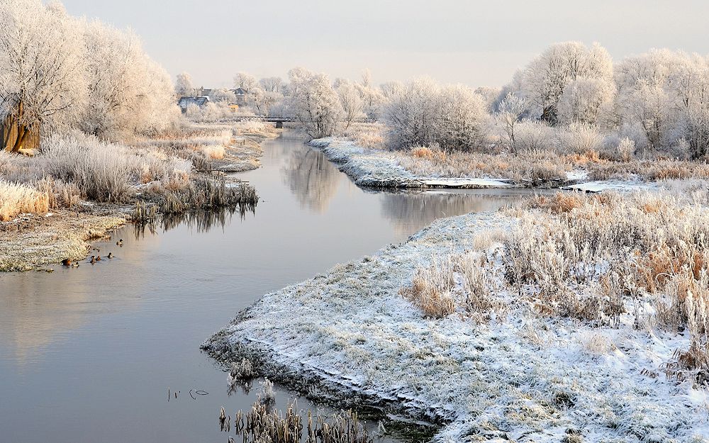 Jyl saıyn bóget salynady: Odan da urymtal tustardy nege birjola jóndep almasqa?