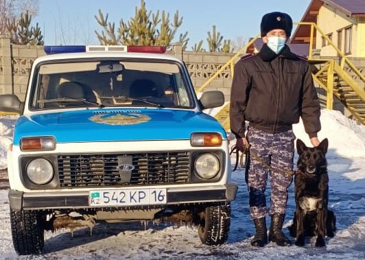 ShQO-da 30-dan astam qylmys ıtterdiń kómegimen ashyldy