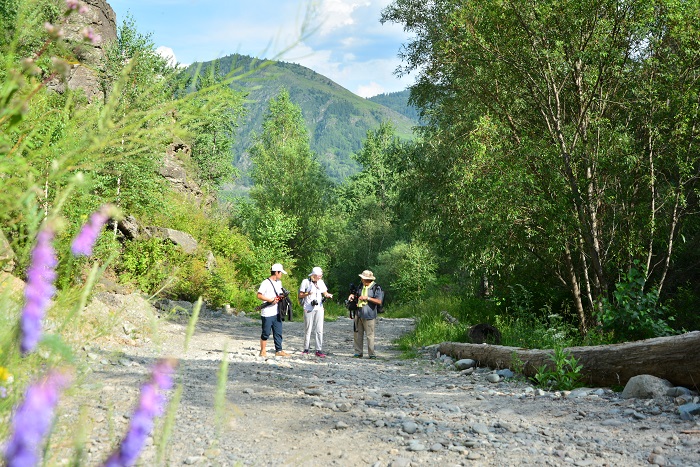 Túkpirdegi eldi týrızm asyraıdy