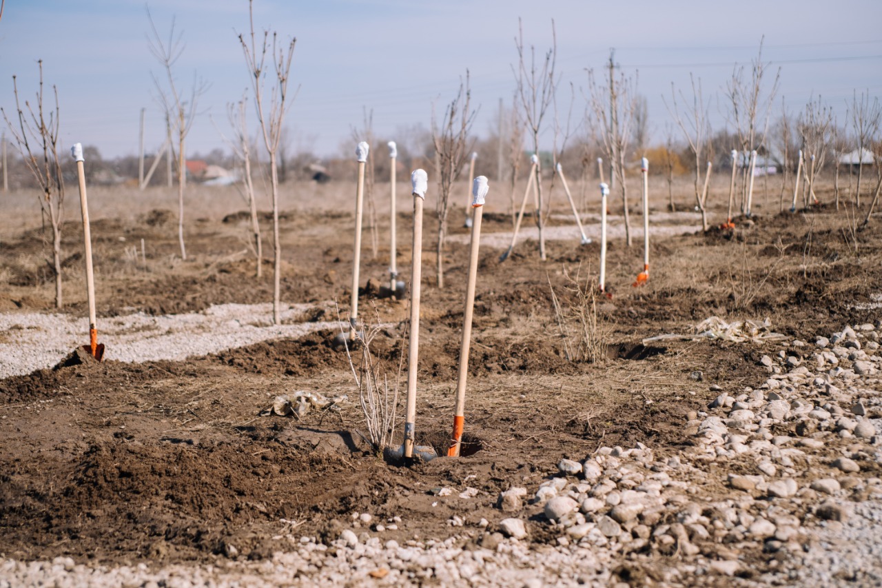 «Bugin-ekologııa» jobasy kóshet otyrǵyzýǵa shaqyrady