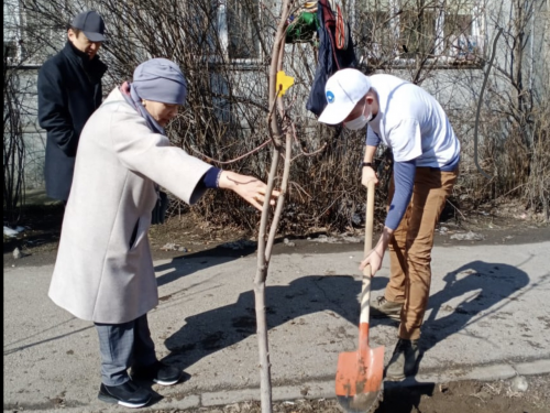 Qazaqstan halqy assambleıasy músheleri qaıyrymdylyq aksııasyn ótkizýde