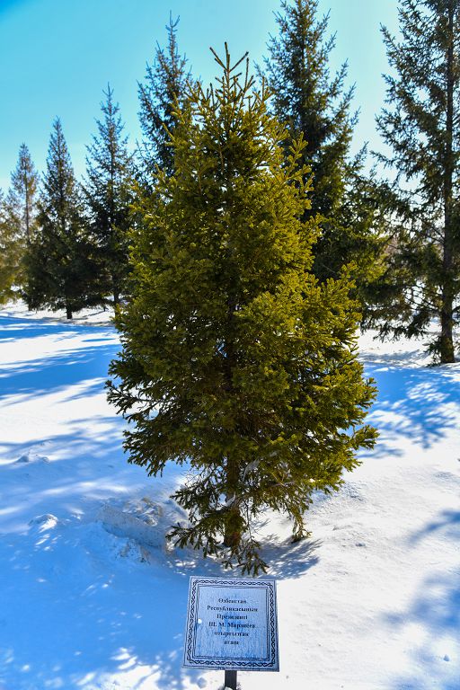 Atadan mal qalǵansha, tal qalsyn