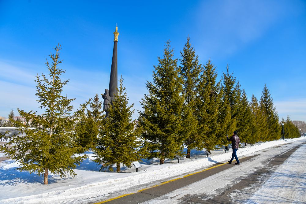 Shetel basshylary ekken aǵashtar