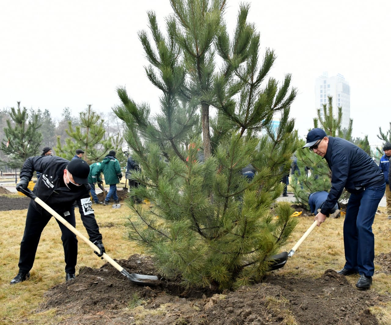 QazUÝ qalashyǵynda aǵashtar alleıasy ashyldy