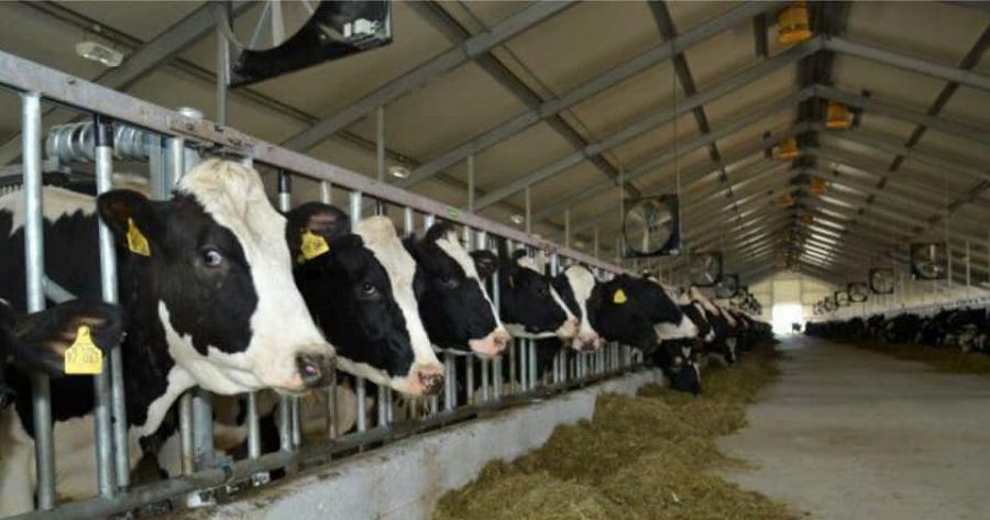 Aýdan bıýdjetin arttyrdy