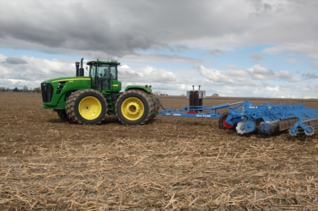 Maıly daqyl alqaby ulǵaıady