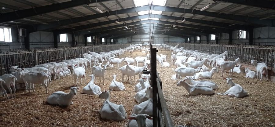 Eshki baqqannyń esebi túgel