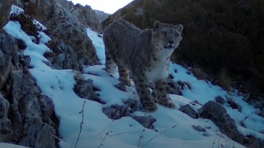 Barysymyz barda – namysymyz bar