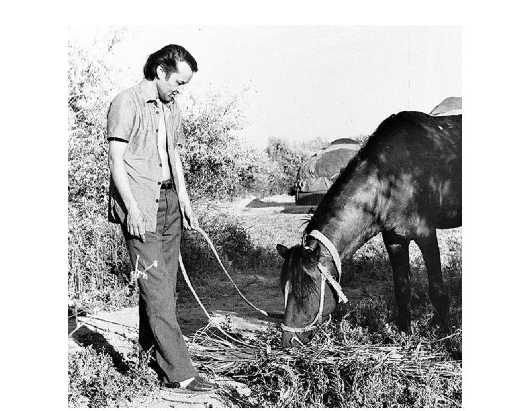 Asqar Súleımenovke oralý