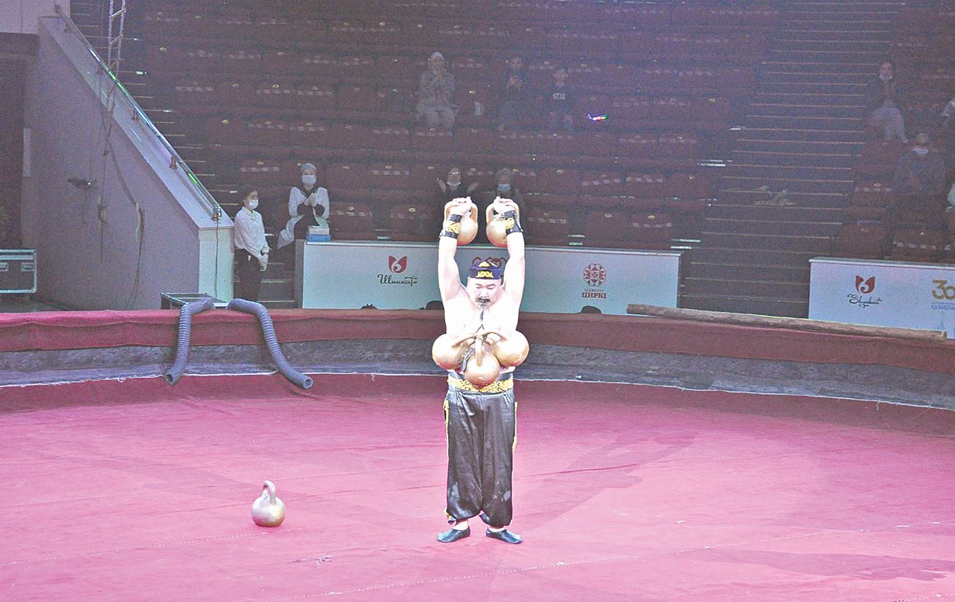 Kúsh atasyna arnalǵan qoıylym usynady