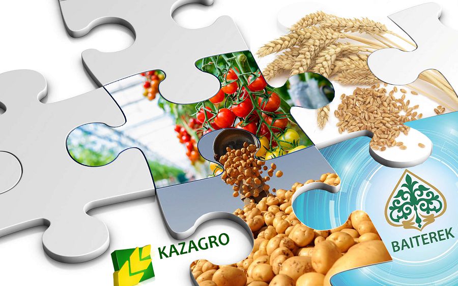 «Báıterek» agroónerkásipke «aýyz saldy»