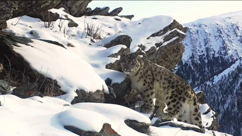 Ilbis fototuzaqqa ilindi