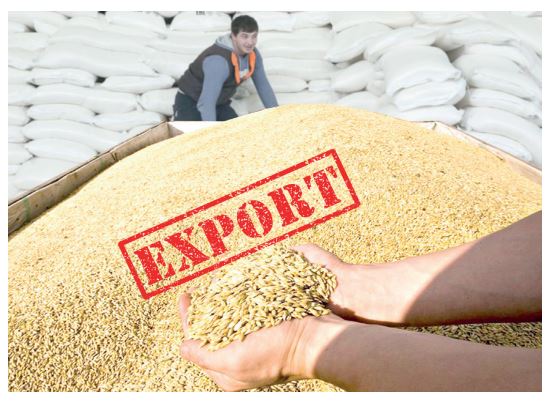 Eksport áleýetin arttyratyn sheshim