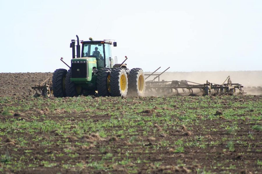 Kúngeıde dala jumystary bastaldy