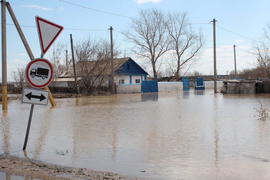 Kóktem kúlip kelmeıdi