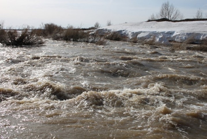 Jedel áreket etý toptarynyń jumysy pysyqtaldy