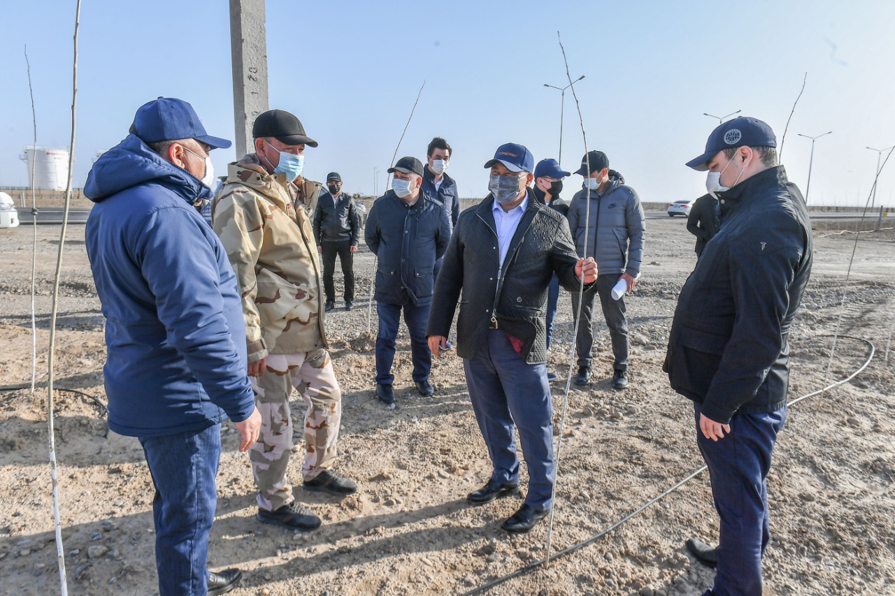 Túrkistanda sakýra gúldedi