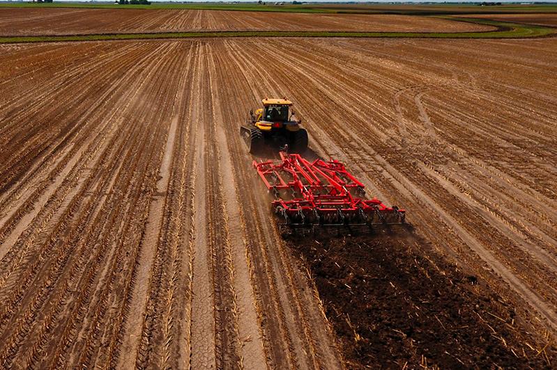 Teriskeıde dala jumystary bastaldy