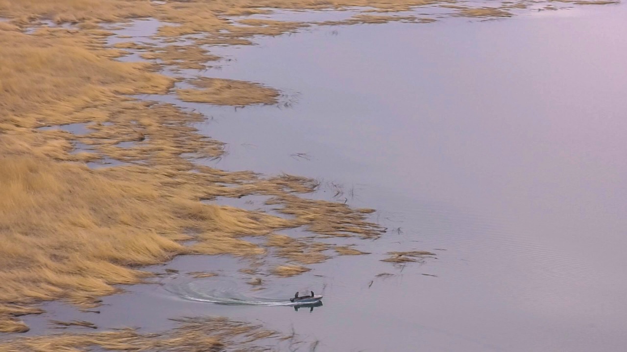 Shyǵys Qazaqstan: 70-ke jýyq zań buzýshylyq anyqtaldy