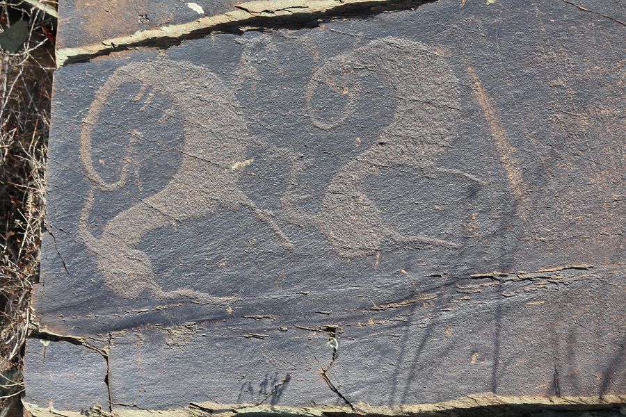 Tarbaǵataıdyń tańbaly tastary