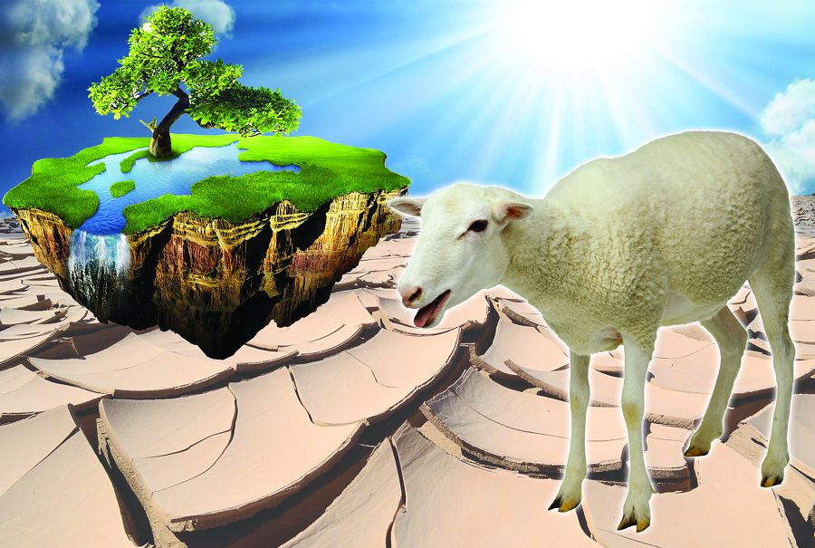 Malyn baǵar jaıylymy joq sharýa qaıtip kún kórer?!