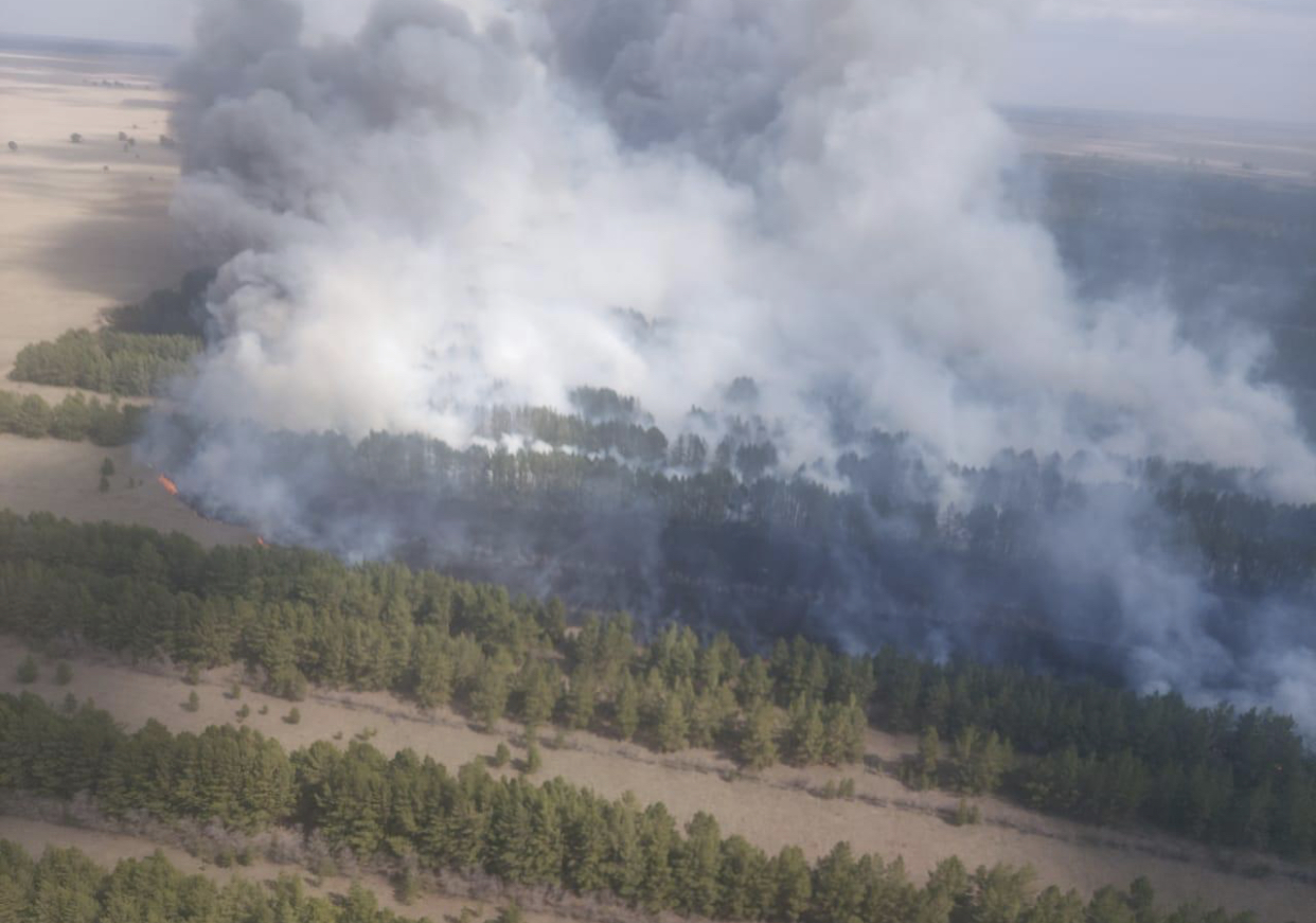 Shaldaı ormany taǵy da órtke orandy