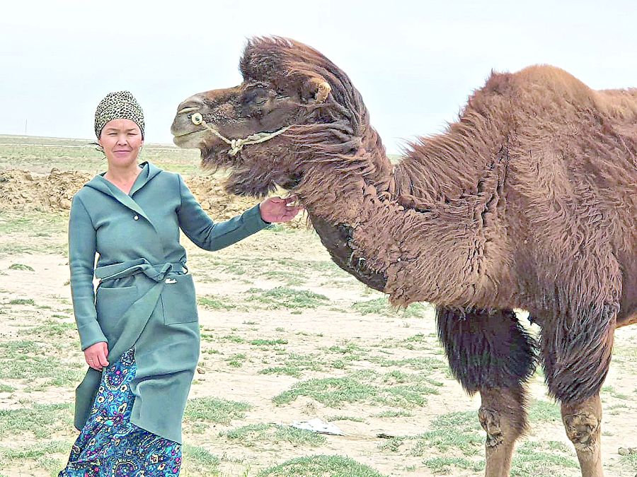 Memleket kepildigimen kásip ashqan ana
