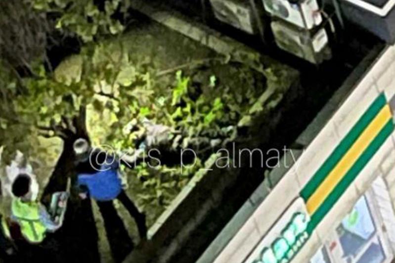 Almatydaǵy atys: Kúdikti 17-qabattan sekirip ketti