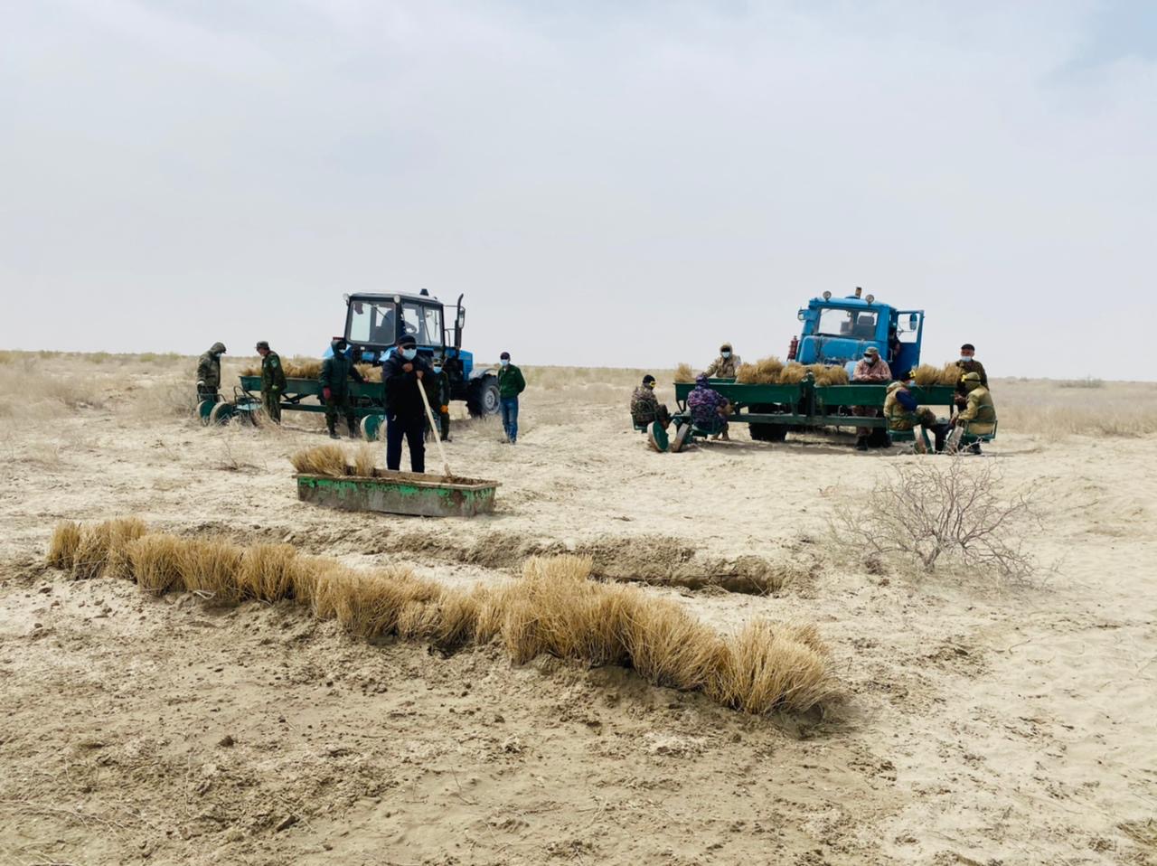 Qazaqstanda Aral teńiziniń qurǵaǵan tabanynda sekseýil egý baǵdarlamasy qabyldanady