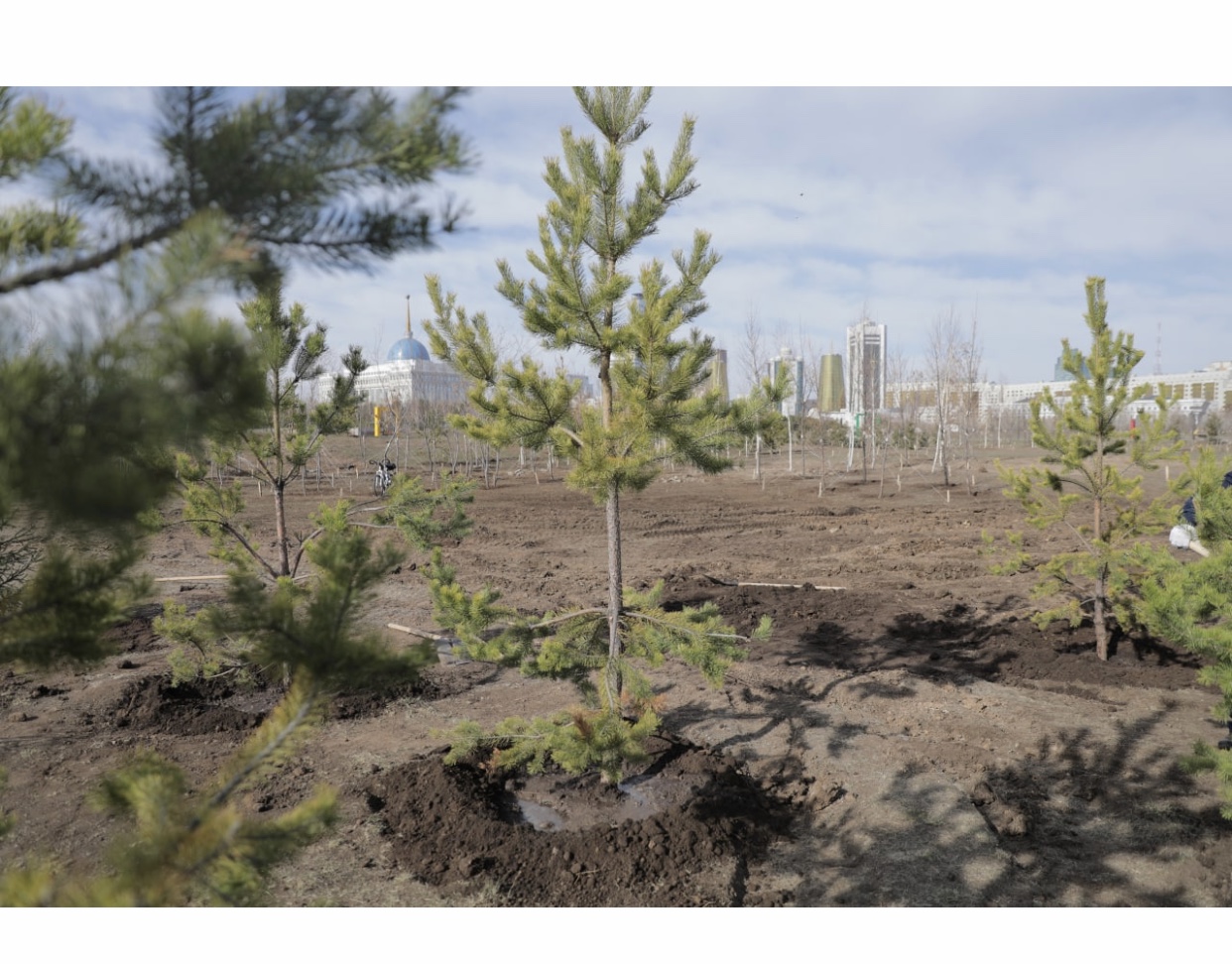 QR Memlekettik qyzmet isteri agenttiginiń qyzmetkerleri senbilik ótkizdi