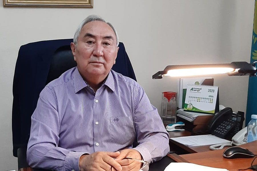 Jer máselesin talqylaıtyn tıimdi alań