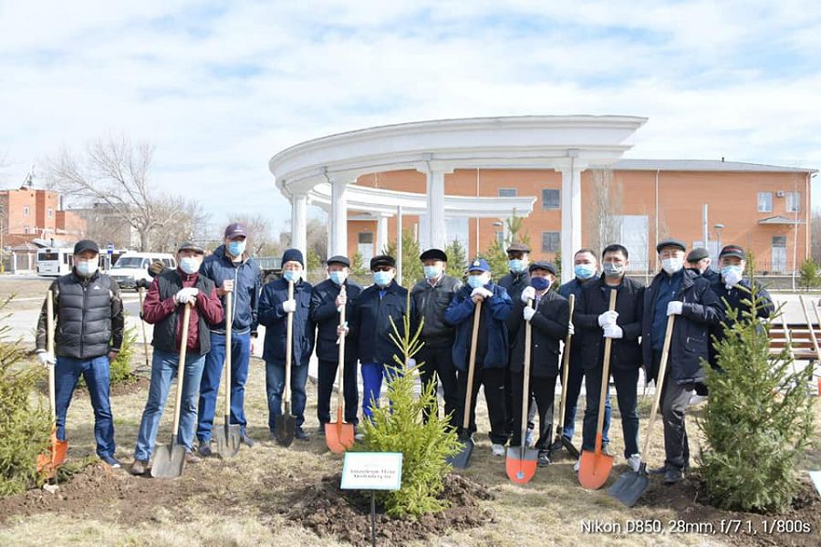 Ár qalamgerdiń aǵashy bar