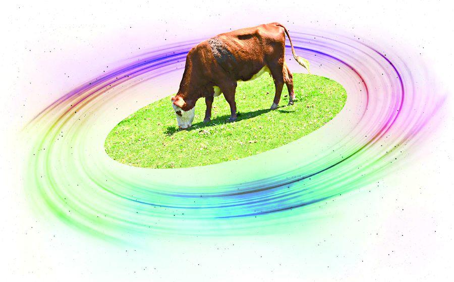 Jaıylymnyń azdyǵy janǵa batady