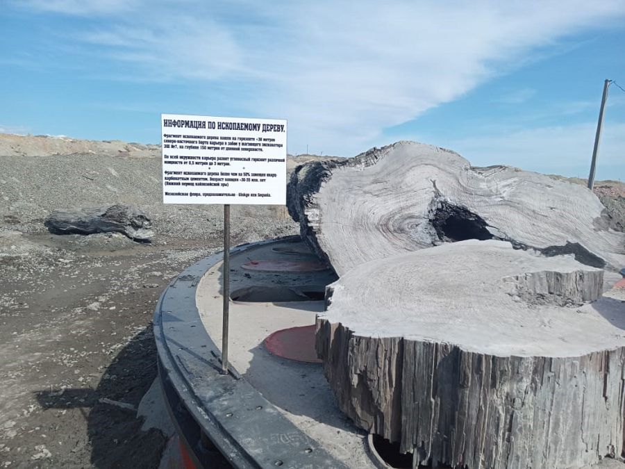 Kenish qoınaýynan tabylǵan olja