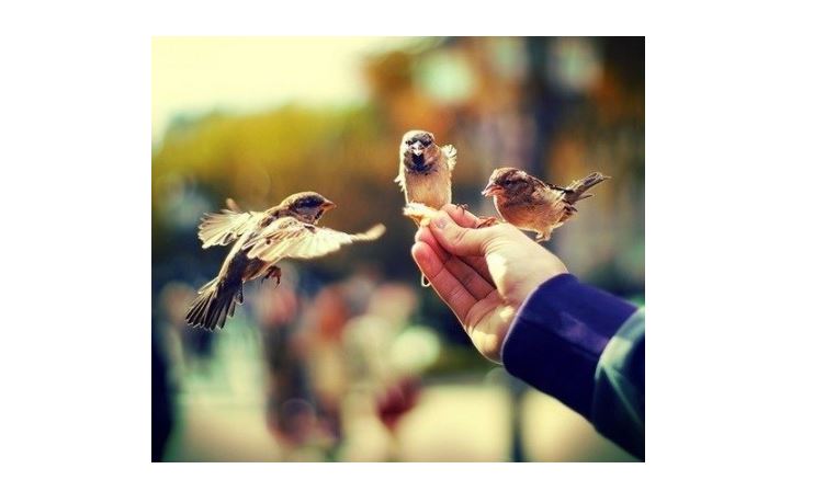 Sýltygovtar áýletiniń salty