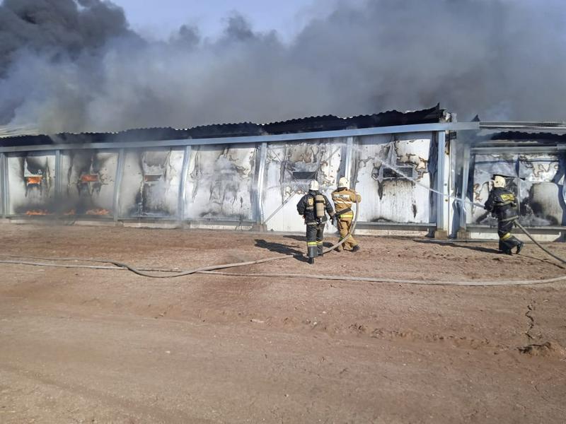 Makınskidegi qus fabrıkasynda órt boldy